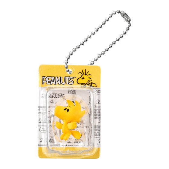 Peanuts Package Miniature Collection Gashapon Keychain